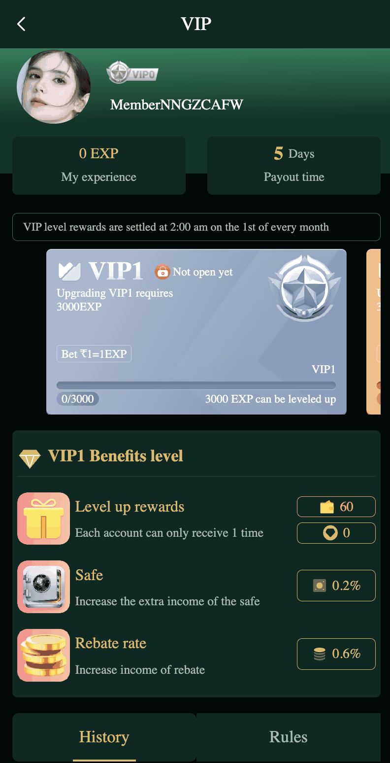 DM First VIP level page showing rebate rate and safe interest